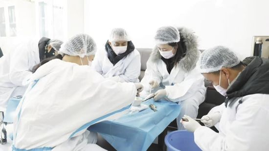 合作社的加工车间里员工正在加工虹鳟鱼。陶娅 摄 合作社的加工车间里员工正在加工虹鳟鱼。陶娅 摄