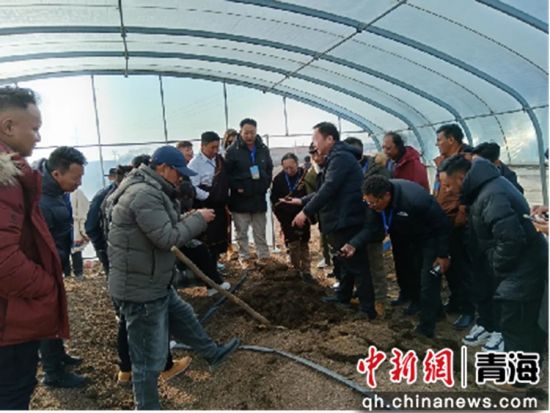 玉树州牛羊产业技术人才接受培训。王希学摄 玉树州牛羊产业技术人才接受培训。王希学摄