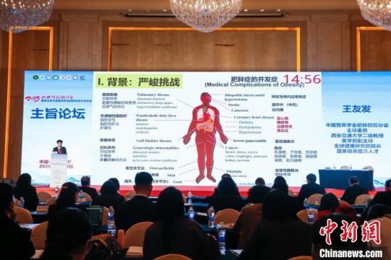 6月20日,西安交通大学医学部副主任、全球健康研究院院长,中国营养学会肥胖防控分会主任委员王友发作主旨发言。 马铭言 摄 6月20日,西安交通大学医学部副主任、全球健康研究院院长,中国营养学会肥胖防控分会主任委员王友发作主旨发言。 马铭言 摄