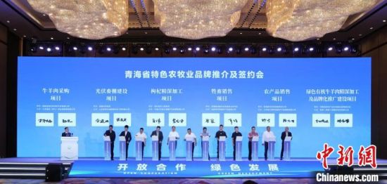 图为签约仪式现场。张忠苹 摄