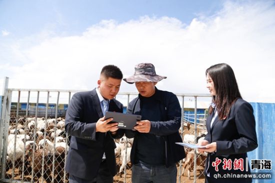 图为农行工作人员现场对企业负责人放贷。马铭言 摄 图为农行工作人员现场对企业负责人放贷。马铭言 摄