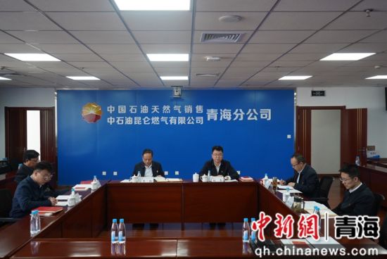 图为会议现场。 青海公司 供图 图为会议现场。 青海公司 供图