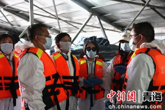 图为香港媒体代表团在青海省海南藏族自治州龙羊峡水库的三文鱼养殖基地，探访了解青海省冷水鱼产业发展情况。张海雯摄