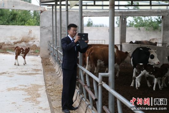 图为农行祁连县支行工作人员赴“借牧”牧户所在地了解情况。张忠苹 摄