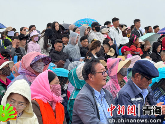 图为现场观众。陈宗淇 摄