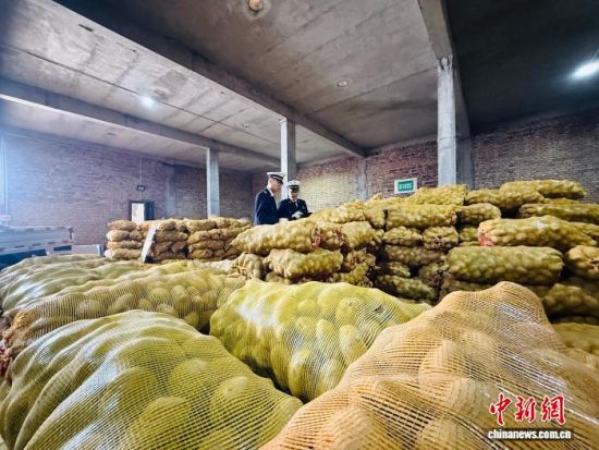 图为海关工作人员对出口土豆进行检查。西宁海关 供图 图为海关工作人员对出口土豆进行检查。西宁海关 供图