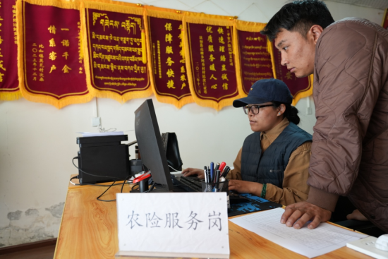 图为农险服务岗业务人员在公司办公。 何欣然摄 图为农险服务岗业务人员在公司办公。 何欣然摄