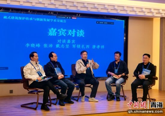 专家对谈。金辰杰摄