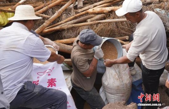 图为拉扎村村民抢救倒塌房屋下的存粮。祁妙摄 图为拉扎村村民抢救倒塌房屋下的存粮。祁妙摄