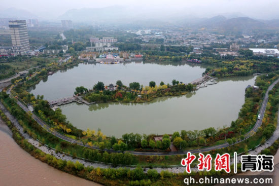 图为航拍青海省海东市乐都区秋景如画。 张忠苹 摄