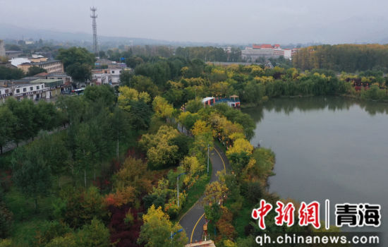 图为航拍青海省海东市乐都区秋景如画。 张忠苹 摄