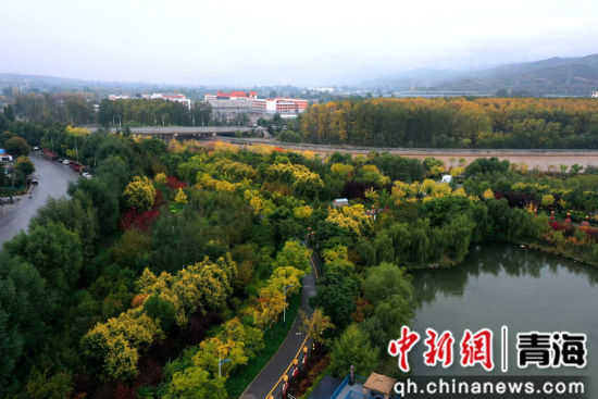 图为航拍青海省海东市乐都区秋景如画。 张忠苹 摄