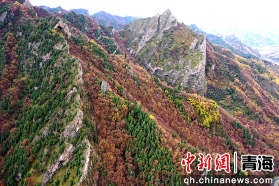 图为航拍的北山国家森林地质公园扎龙沟秋景。 张忠苹 摄