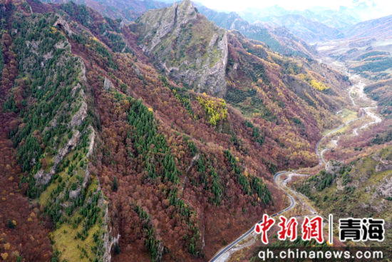 图为航拍的北山国家森林地质公园扎龙沟秋景。 张忠苹 摄