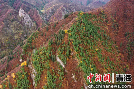 图为航拍的北山国家森林地质公园扎龙沟秋景。 张忠苹 摄